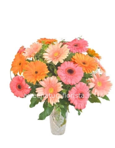 Bouquet di gerbere colorate con mimosa.