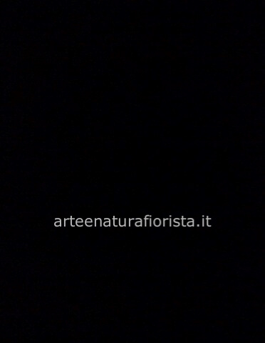 Omaggio da concordare a telefono al 3282889719