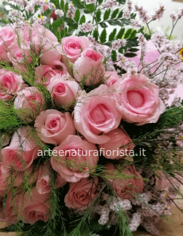 Rose rosa
