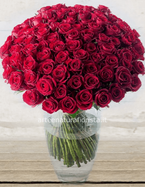 100 rose rosse