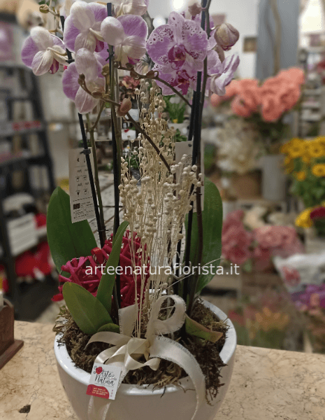 Orchidee con vaso