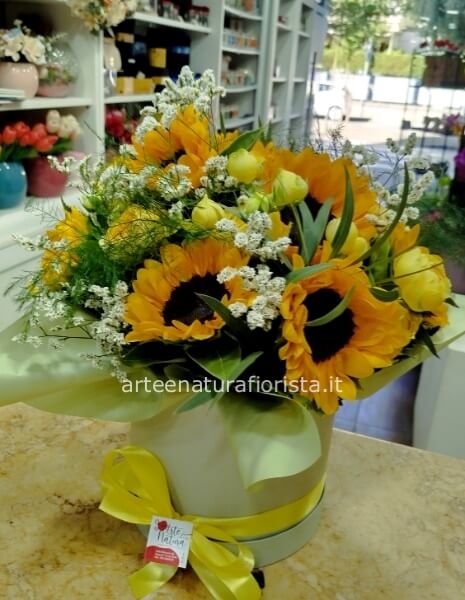 Girasoli in box