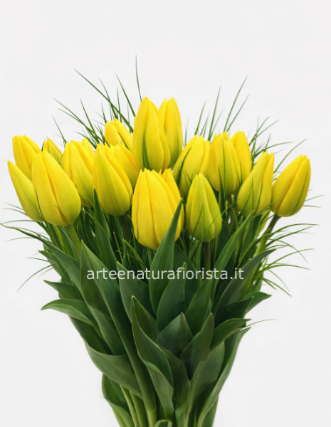 Bouquet tulipani colorati